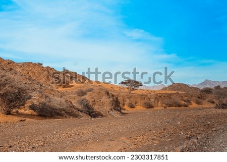 
Sand desert and the rough mountains