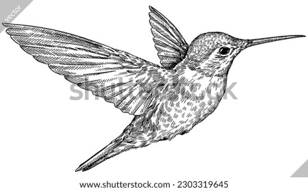 Vintage engraving isolated hummingbird set illustration ink humming sketch. Bird background colibri tropical silhouette art. Black and white hand drawn vector image. Royalty-Free Stock Photo #2303319645