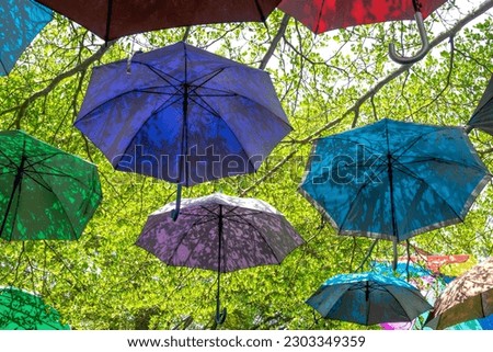 Colorful decorative umbrellas hanging above in garden for art
