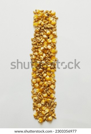 letter i of the Latin alphabet is made of wheat and corn grains