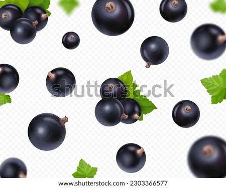 Black currant falling background. Flying black currant realistic with green leaf on transparent background. Blurred effect 3D vector. Royalty-Free Stock Photo #2303366577