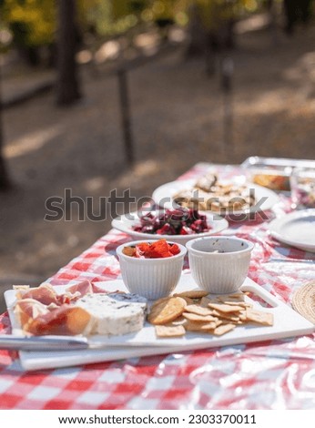Charcuterie Board on a Red and White Table in the Woods for Adventure