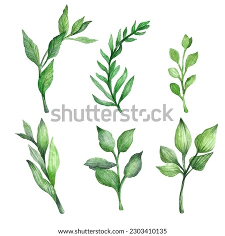 Set of watercolor elements. Hand drawn green twigs isolated on white background.Spring, blossoms, frame