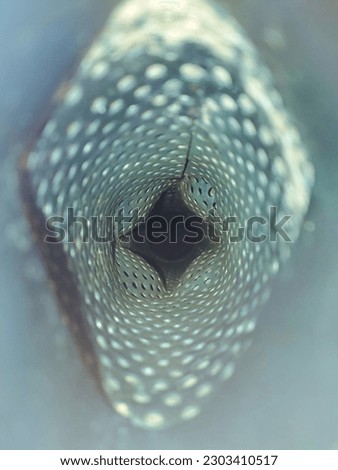 The exhaust filter or silencer serves to reduce the exhaust sound that is too loud Royalty-Free Stock Photo #2303410517