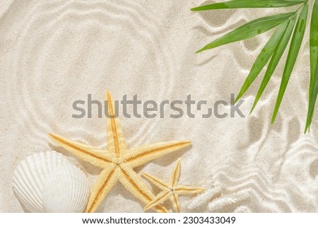 sun lights with hard shadow in ripple water on abstract sand background with palm leaf shell, starfish, beautiful abstract spa concept banner.
