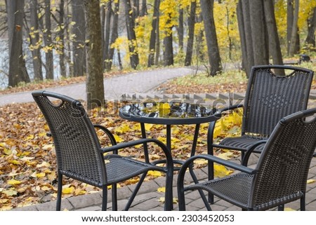 Picture of empty autumn cafe with red and yellow leaves