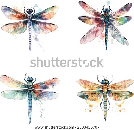 watercolor dragonfly with delicate wings vector illustration Royalty-Free Stock Photo #2303455707