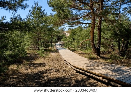 Wooden path in the dunes. Wooden deck leading through coastal dune vegetation.