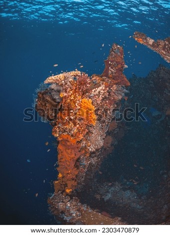 USAT Liberty was a United States Army cargo ship torpedoed by Japanese submarine I-166 in January 1942 and beached on the island of Bali, Indonesia Royalty-Free Stock Photo #2303470879