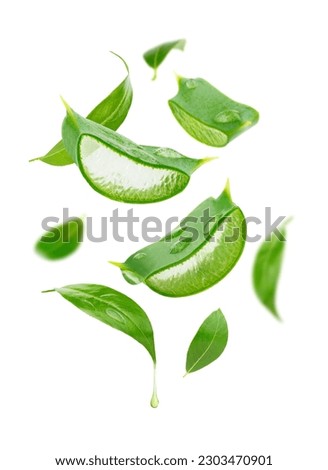 Flying aloe vera slices and tea leaves isolated on white background. Royalty-Free Stock Photo #2303470901