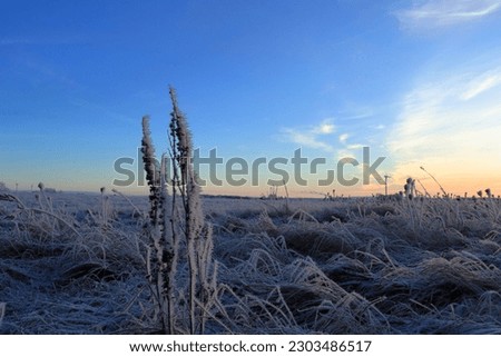 Winter landscape photo. December one morning at sunrise. Snow and frost. Near Skara, Sweden.