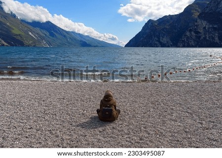 a woman sitting on the shore of lake garda observes the horizon. High quality photo
