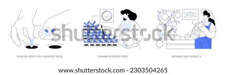 Gene engineering in agriculture abstract concept vector illustration set. Planting genetically modified seeds, examine modified crops, biotechnologist growing GMO products abstract metaphor. Royalty-Free Stock Photo #2303504265