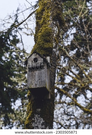 A bird house in Venta, Oregon near the Cascades Raptor Center