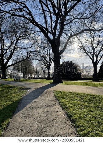 Nature picture with a view of river or lake and bridge in a garden or park in the morning sunset or sunrise. flowers and pavement and fishing in England