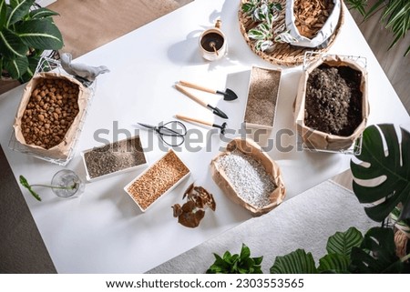 Table with fillers for houseplant transplant in boxes and paper bag gardening hobby equipment top view. Soil ground for expensive trendy rare botanical potted plant care with shovel rake and scissors Royalty-Free Stock Photo #2303553565
