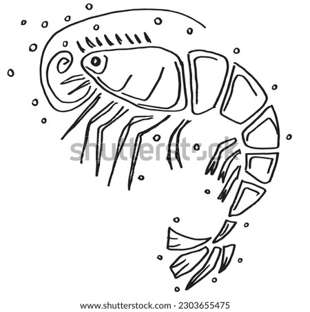 Crab outline illustration image. 
Hand drawn image artwork of shrimp. 
Simple cute original logo.
Hand drawn vector illustration for posters, cards, t-shirts.