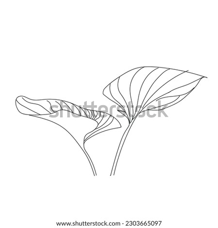 line art of leaf isolated in white background