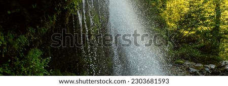 waterfall in a natural park, water stream falls from above,banner