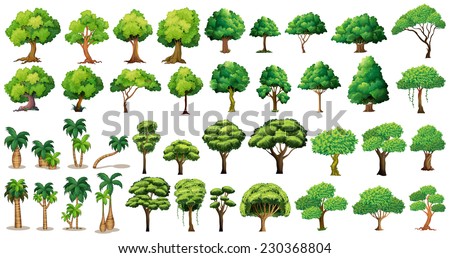 Diversity of trees set on white
