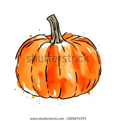 Orange pumpkin. Vector. Isolated on white background. Watercolor illustration