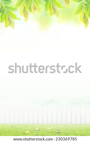 World environment day concept: Beautiful leaves and blurred garden on sunrise background