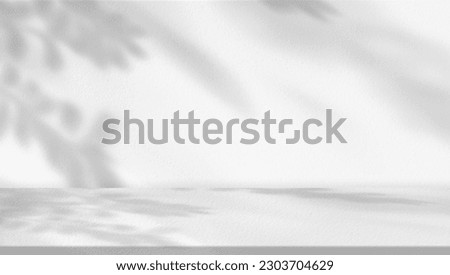 Studio background,Leaves shadow with sunbeam reflection on grey concrete wall background,Empty White Studio Room with abstract light on Cement floor,Backdrop display for product presentation