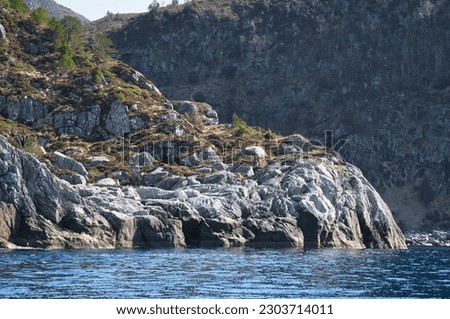 Norway, mountain reaches into fjord. Steep slopes in the background. Fjord landscape. Landscape photo from the north
