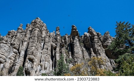 Birds flying over the Chiricahua mountains