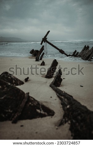 shipwreck by the ocean in the Cape