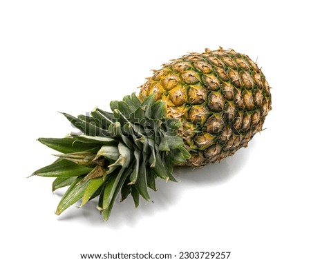 Whole Pineapple Isolated, Big Ananas, Comosus Tropical Fruit, Ripe Pine Apple, Pineapple Fruit on White Background Royalty-Free Stock Photo #2303729257
