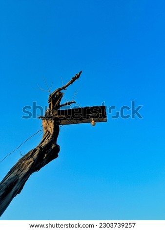 dead trees are used as street lights, with a bright and clean blue sky background, photos during the day