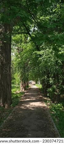 Green trees grass nature Park Royalty-Free Stock Photo #2303747213