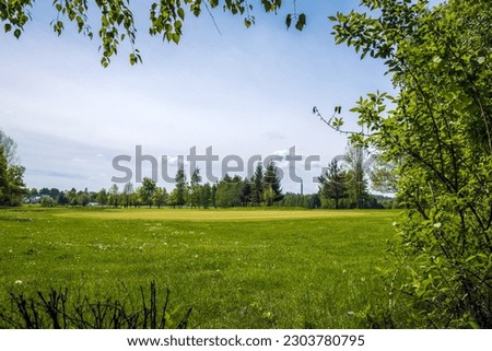 Golf course located in Bazantarnia Park in Siemianowice, Silesia, Poland. Perfectly cutted lawn surrounded by fresh trees. Fresh, awakening nature in May. Branches arranged into the picture frame.
