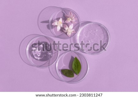Facial serum or gel with hyaluronic acid, flower and leaves in Petri dishes on a lilac background. Concept of cosmetics laboratory researches, wellness, beauty and natural cosmetics.