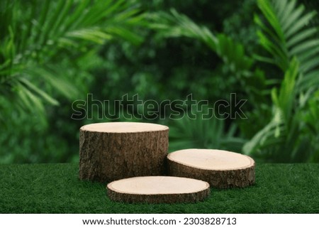Wood tabletop podium floor in outdoors blur green tropical leaf tropical forest nature landscape background.cosmetic natural product mock up placement pedestal stand display,jungle summer concept.