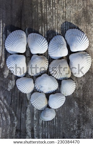 Heart made of sea shells on wooden table