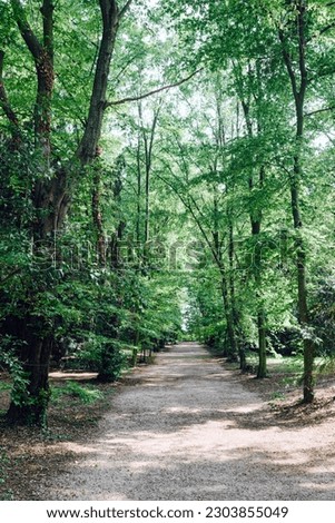 Fanzolo Treviso, Italy - Park of Villa Emo, tree-lined path