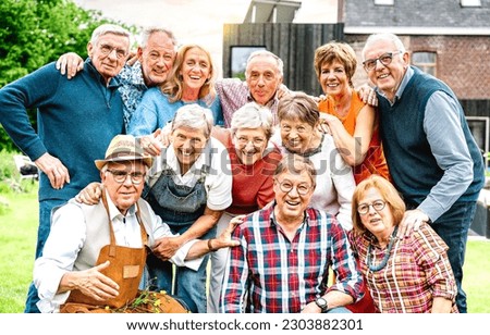Large group of happy senior men and women taking selfie pic at private villa - Retired people having fun together on garden party mood - Positive elderly life style concept on bright warm vivid filter
