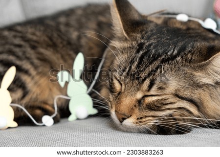 A sleeping brown tabby kitten and a garland of paper Easter bunnies.