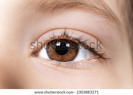 Macro brown eye of a 5-year-old kid. Pediatric ophthalmology Royalty-Free Stock Photo #2303883271
