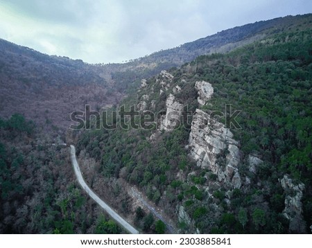 aerial view of rock crag. drone photo of the crag. Crag in the Buti wood, Pisa. Natural landscape seen from above. rock climbing. Buti's crag