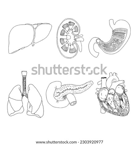 Illustration with anatomy of internal organs on white background. Technology concept. Health care concept. Business management system. Medical health. Body care. Medicine technology.