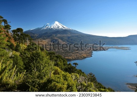 Aerial view of Llaima volcano and Conguillio lake in Conguillio National Park, La Araucania region, southern Chile Royalty-Free Stock Photo #2303923845