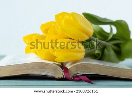 Open holy bible book with yellow tulips on wood with white background. A close-up. Biblical concept of Christian growth, change, hope, and new life in God Jesus Christ. Royalty-Free Stock Photo #2303926151
