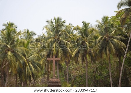 Closeup shot of Crucifix Bom Jesus in front of Palm trees at Basilica of Bom Jesus Church in Goa, India.  Cross of jesus christ at old catholic church in Goa. Cross in front of the palm trees. 