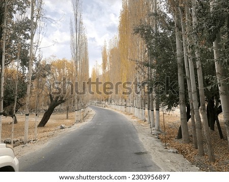 Pictures taken at beautiful northen areas of pakistan, Skardu, showing beautiful fall 
