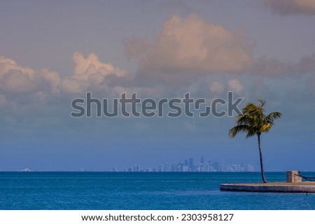 Clouds Build Over Miami Skyline with palm tree on Boca Chita island