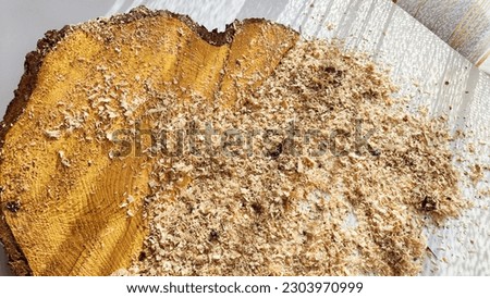 Texture of surface of cross section of the freshly sawn old thick spruce tree with growth rings. Background with Wood powder, fine sawdust, close-up, surface from above. Copy space Royalty-Free Stock Photo #2303970999
