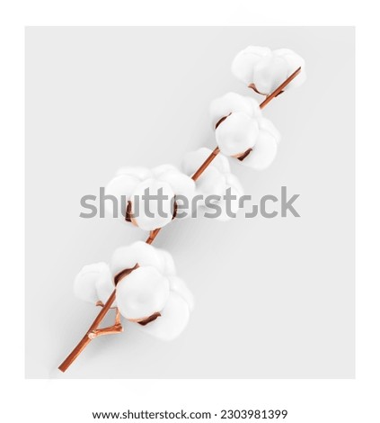 Realistic cotton branch on gray background. Vector illustration. Great for your design. EPS10. Royalty-Free Stock Photo #2303981399